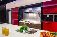 Dudden Hill kitchen extensions